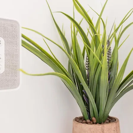 Nevma Boutique Apartament